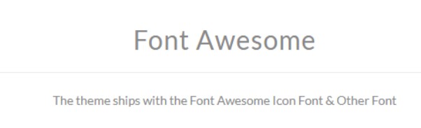13-font-awesome