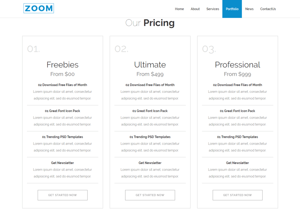 Premium Html Template One Page Parallax - Zoom