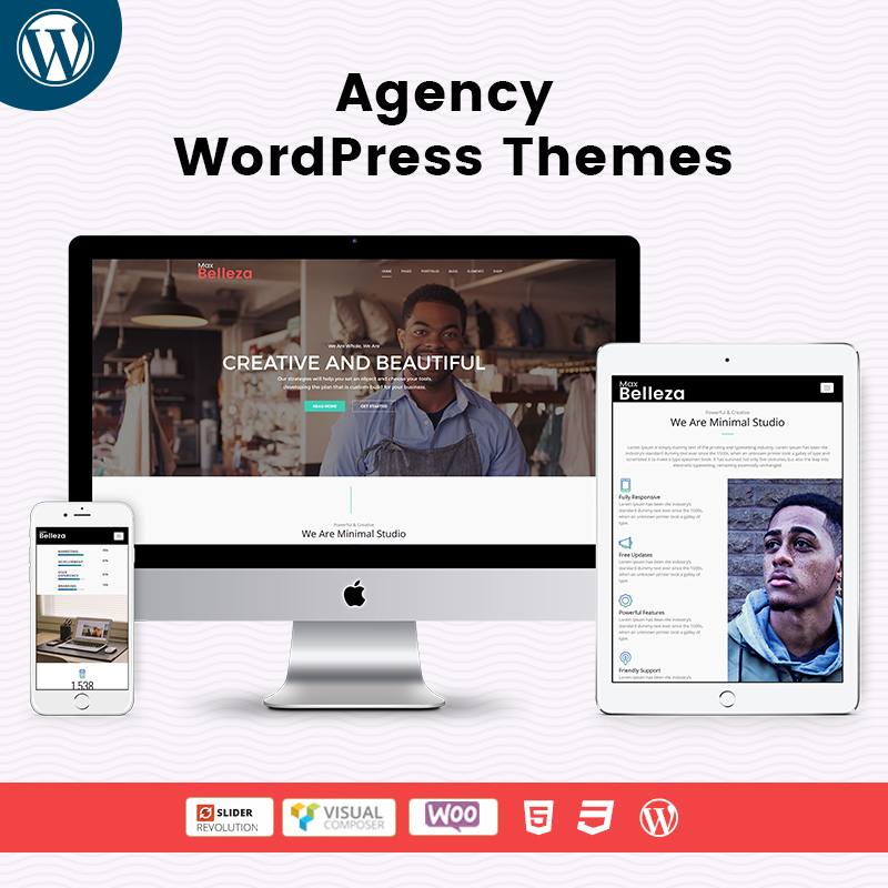 Responsive WordPress Themes For Agency