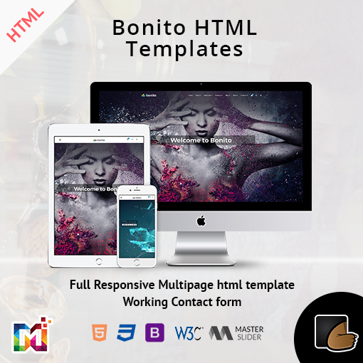 Bonito – Responsive Multi-Purpose HTML Template