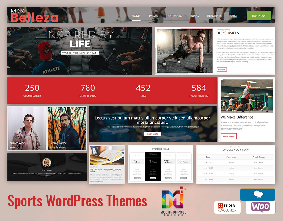 Premium WordPress Themes