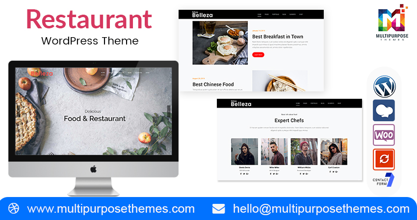 Multipurpose WordPress Themes | Premium WordPress Themes