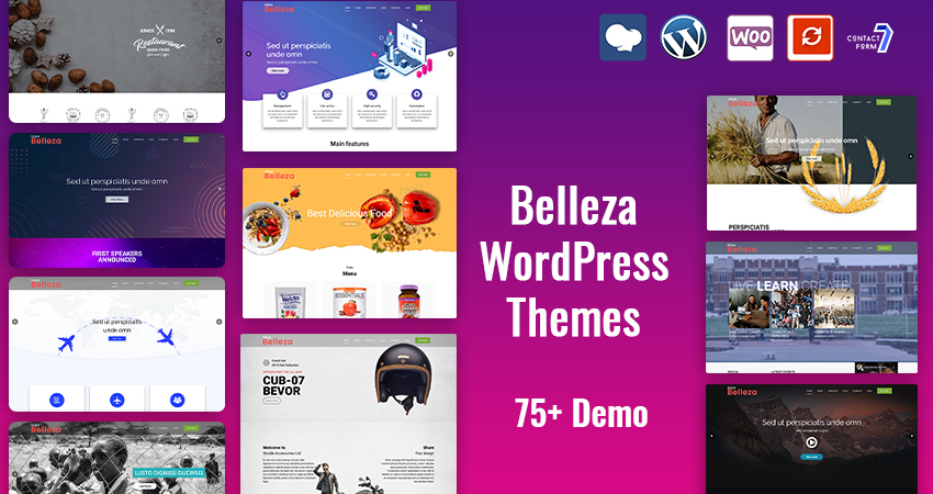 Premium WordPress Themes | Multipurpose WordPress Themes
