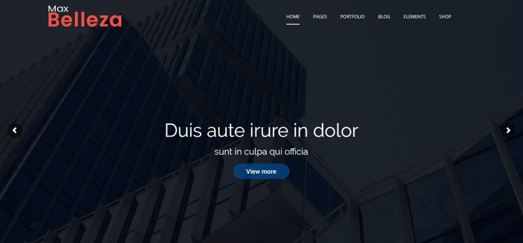 Multipurpose Responsive WordPress Themes | WordPress Themes
