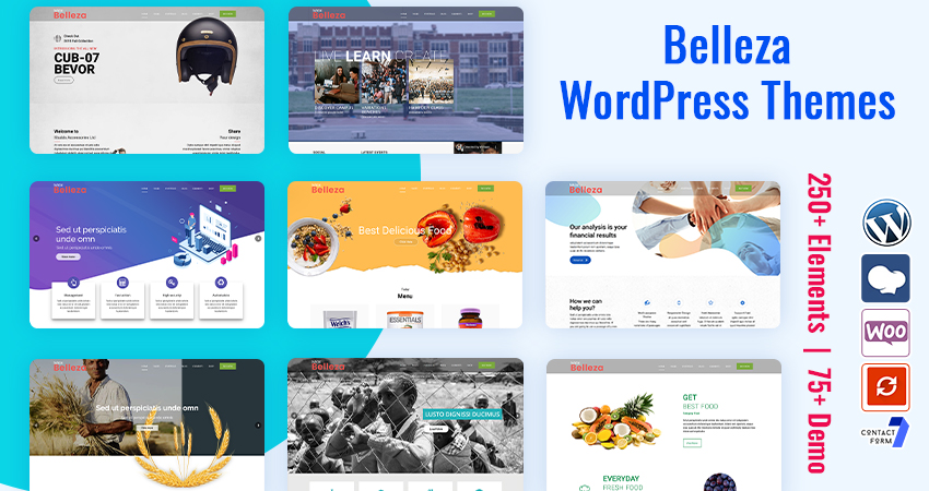 Premium WordPress Themes | Multipurpose WordPress Themes