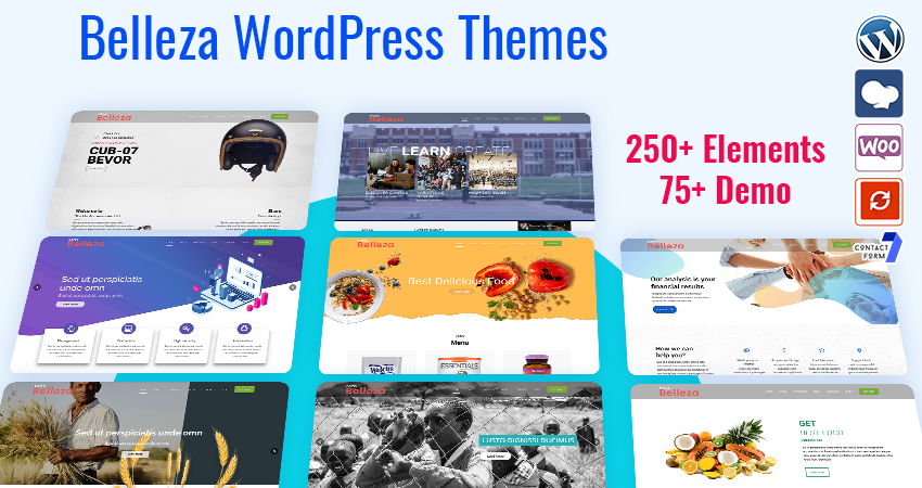 All Purpose WordPress Theme | Multipurpose WordPress Themes