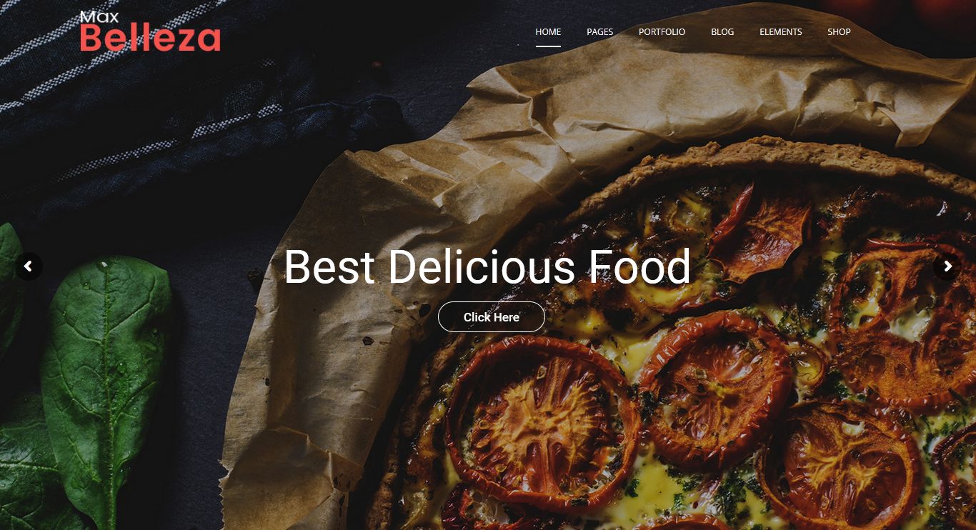 Premium WordPress Themes