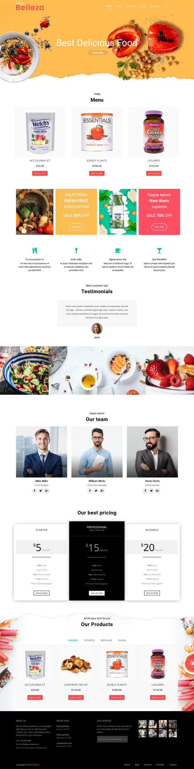 Premium WordPress Themes