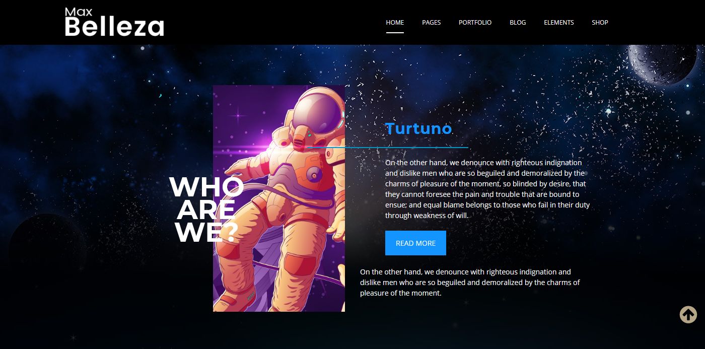 Premium WordPress Themes