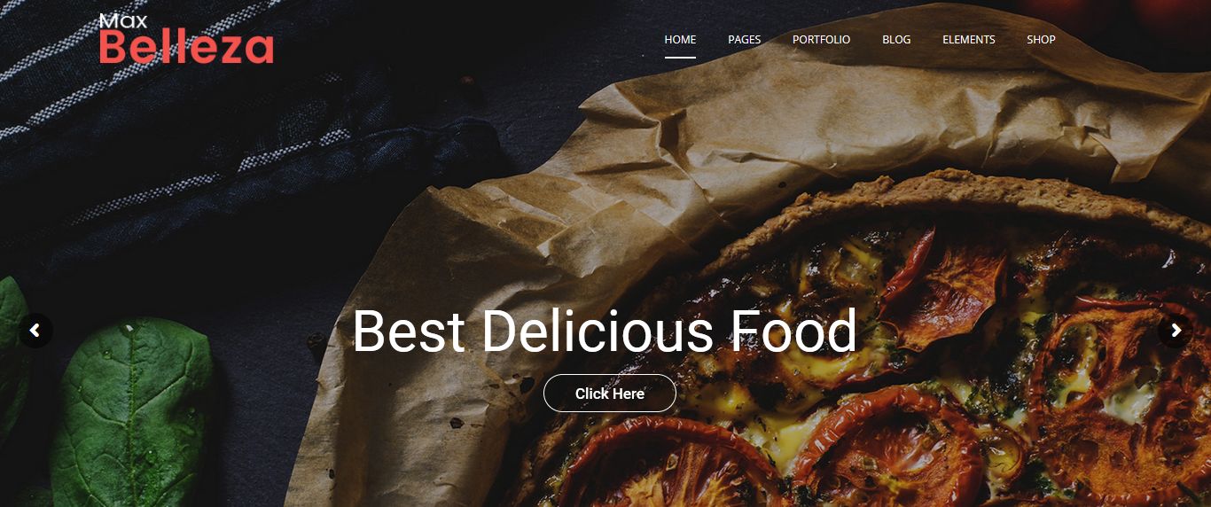 Premium WordPress Themes