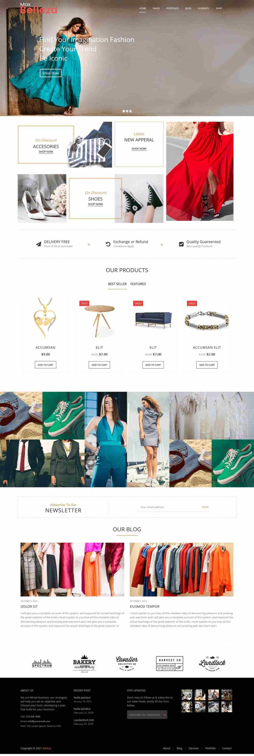 fashion store-2 WordPress Themes