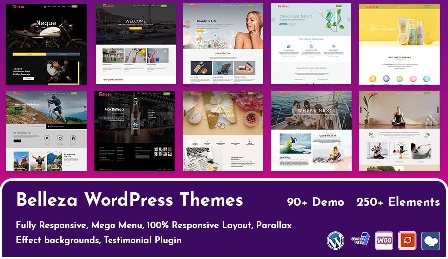Multipurpose Responsive WordPress Themes